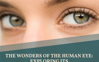 what are the makings of the human eye