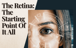 the retina the starting point of it all